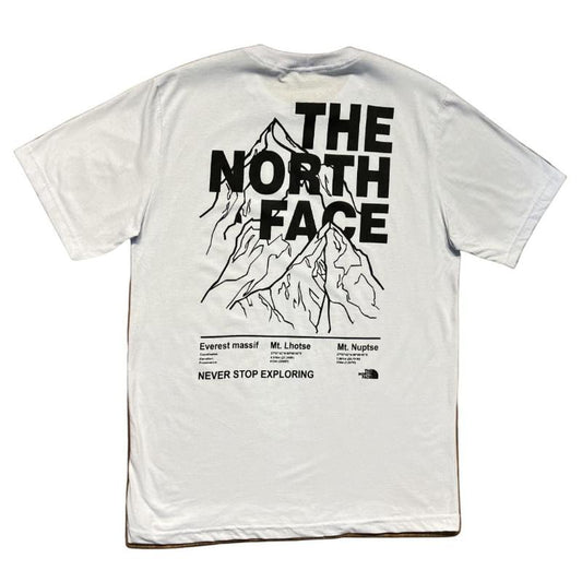 Camiseta THE NORTH FACE Premium 30.1