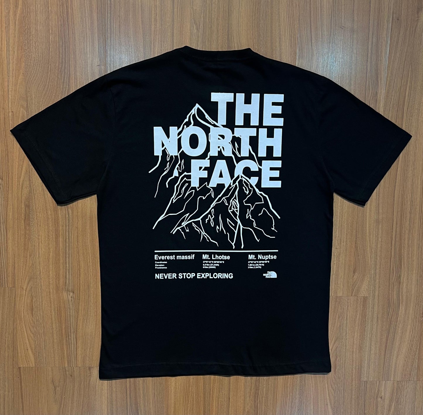 Camiseta THE NORTH FACE Premium 30.1